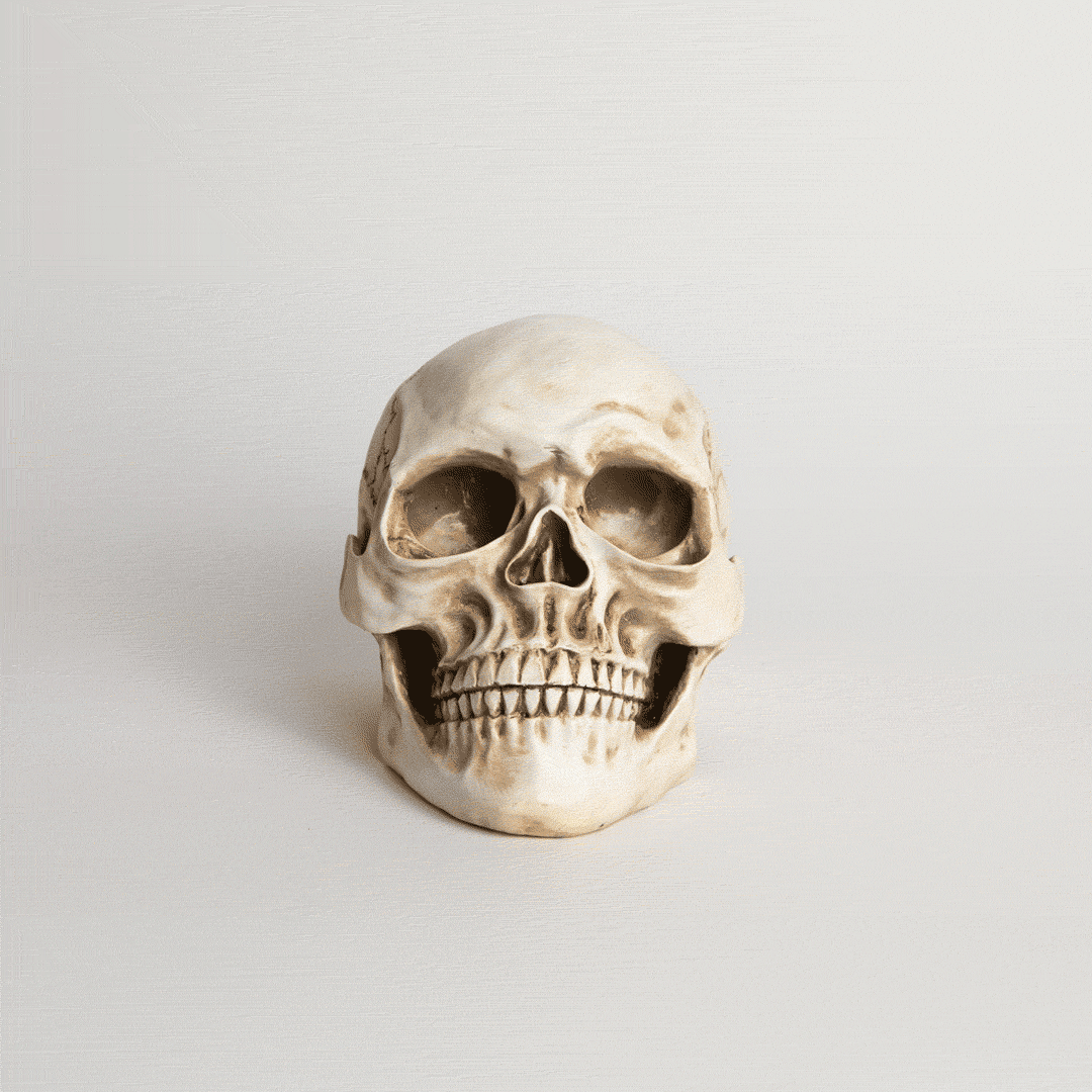 Descargar fondos de Unpersonaje De Dibujos Animados Con Esqueletos Y  Calaveras. | Wallpapers.com, image size:1080x1080