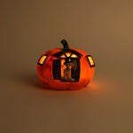 Calabaza con Esqueleto LED