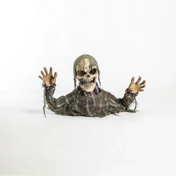 Zombie Animado (Medio Cuerpo)