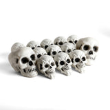 Pack 12 Calaveras