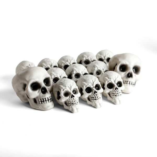 Pack 12 Calaveras