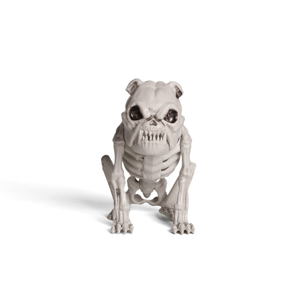 Esqueleto Bulldog