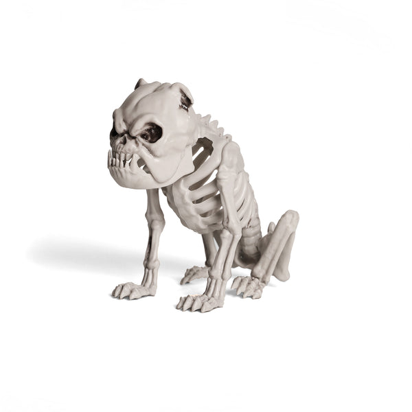 Esqueleto Bulldog