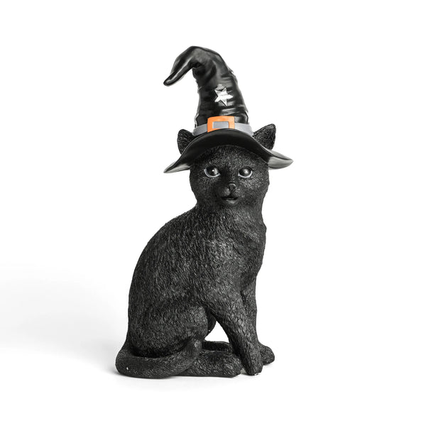 Gato con Sombrero