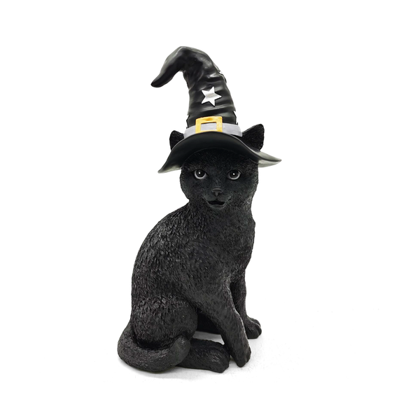 Gato con Sombrero