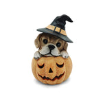 Perrito en Calabaza Led