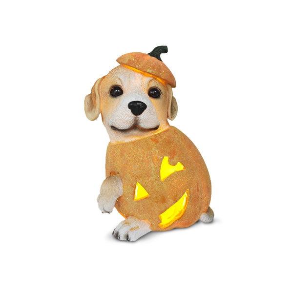Perrito en Calabaza Led