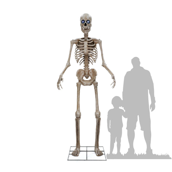Esqueleto Gigante