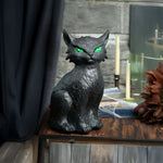 Gato Animado con Luz y Sonido