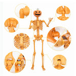 Esqueleto Calabaza Tamaño Real