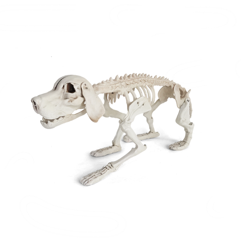 Esqueleto Decorativo de Perro 71 cm