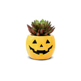 Macetero de Calabaza