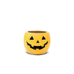 Macetero de Calabaza