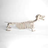 Esqueleto Perro Salchicha