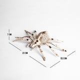Esqueleto Araña