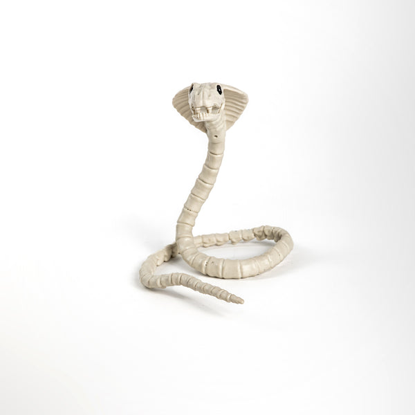 Esqueleto Cobra
