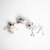 Bolsa de Mini Esqueletos