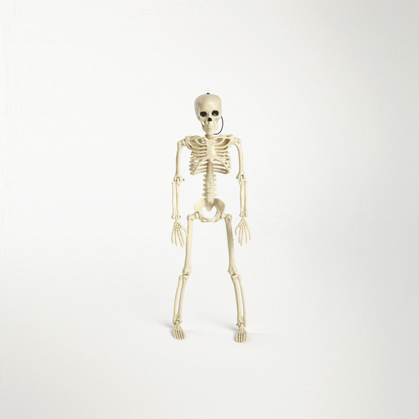 Esqueleto 40 cm