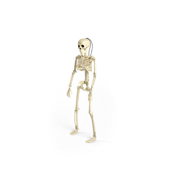 Esqueleto 40 cm