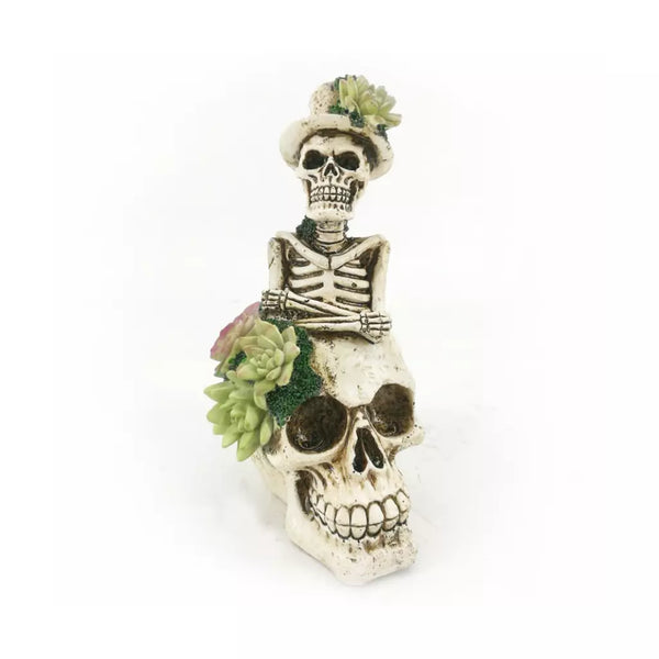 Adorno Calavera Suculenta