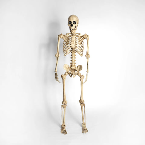 Esqueleto Ojos Led Animados (165 cm)