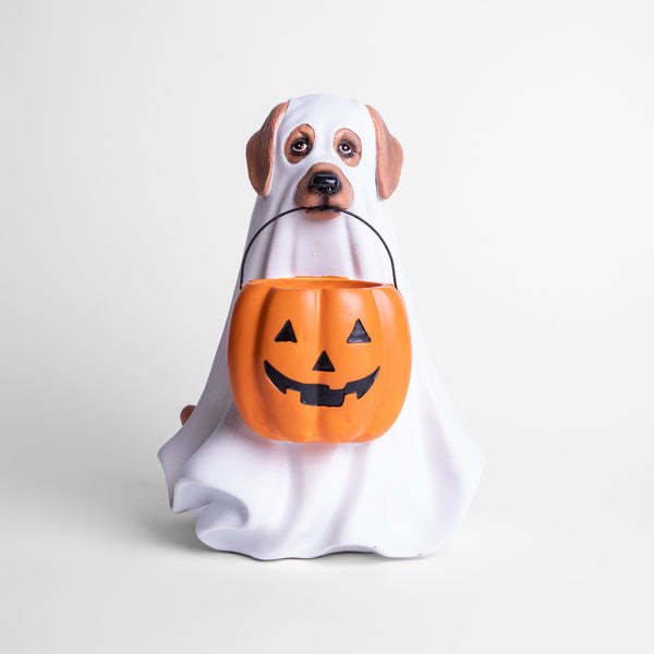 Perro Fantasma