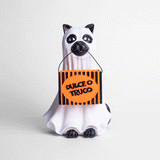 Gato Fantasma