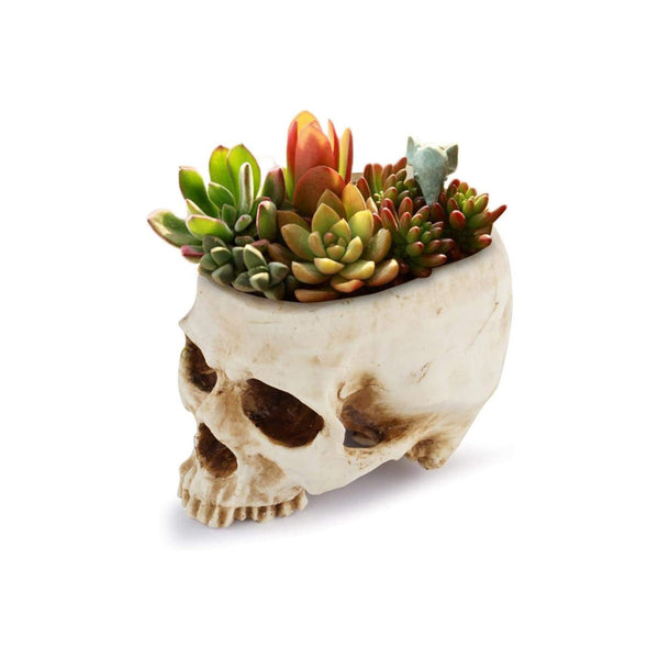 Macetero de Calavera