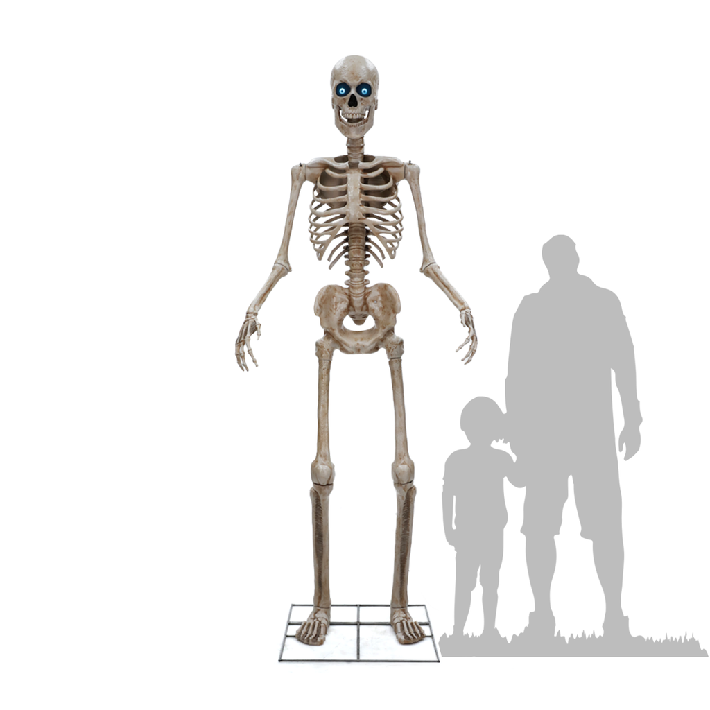 Esqueleto Rigg Esqueleto Humano Gigante