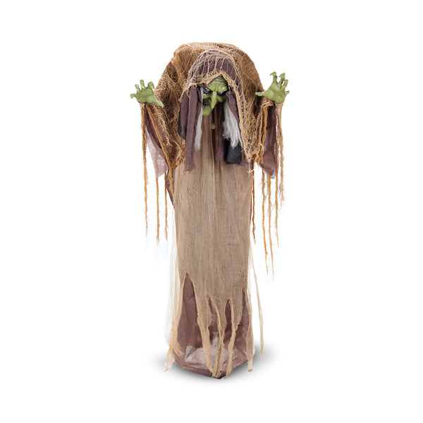 Bruja Jorobada Animada