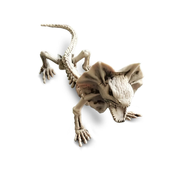 Esqueleto Lagarto