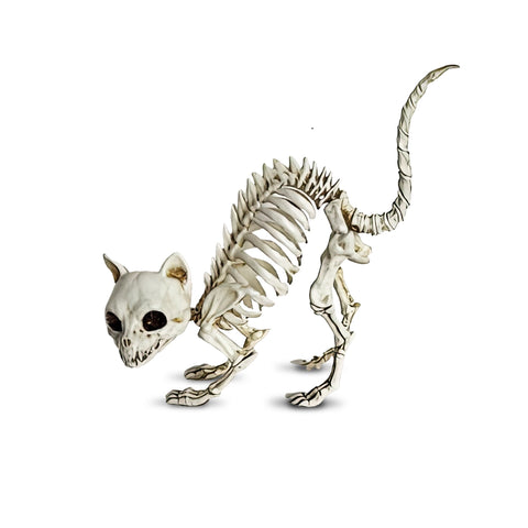 Esqueleto Gatito