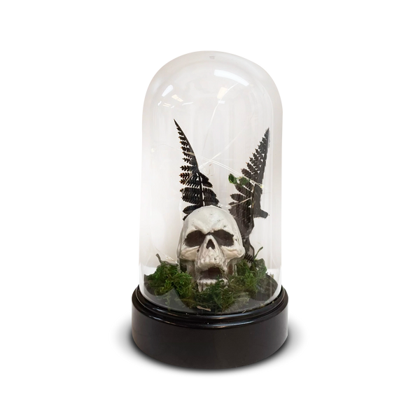 Decoración de Calavera Led