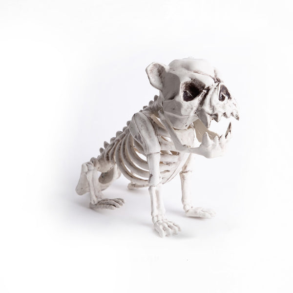 Esqueleto Bulldog