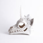 Esqueleto Cabeza de Unicornio Led