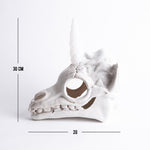 Esqueleto Cabeza de Unicornio Led