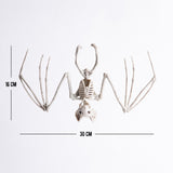 Esqueleto Murciélago